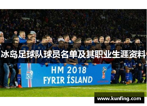 冰岛足球队球员名单及其职业生涯资料